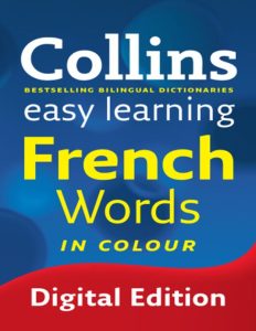 'Rich Results on Google's SERP when searching for ''Collins Easy Learning French Words Book