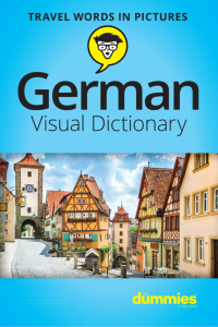 'Rich Results on Google's SERP when searching for 'German Visual Dictionary for Dummies Book